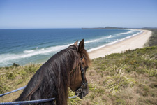 Australia-NSW-Kerewong Hinterland Adventure
